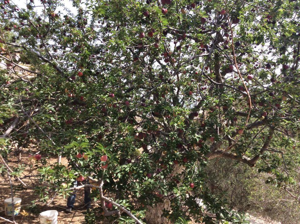 La Villa Di Zazopetra Menetaí 外观 照片