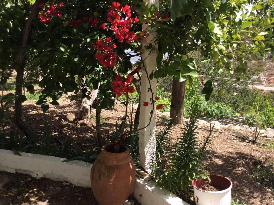 La Villa Di Zazopetra Menetaí 外观 照片