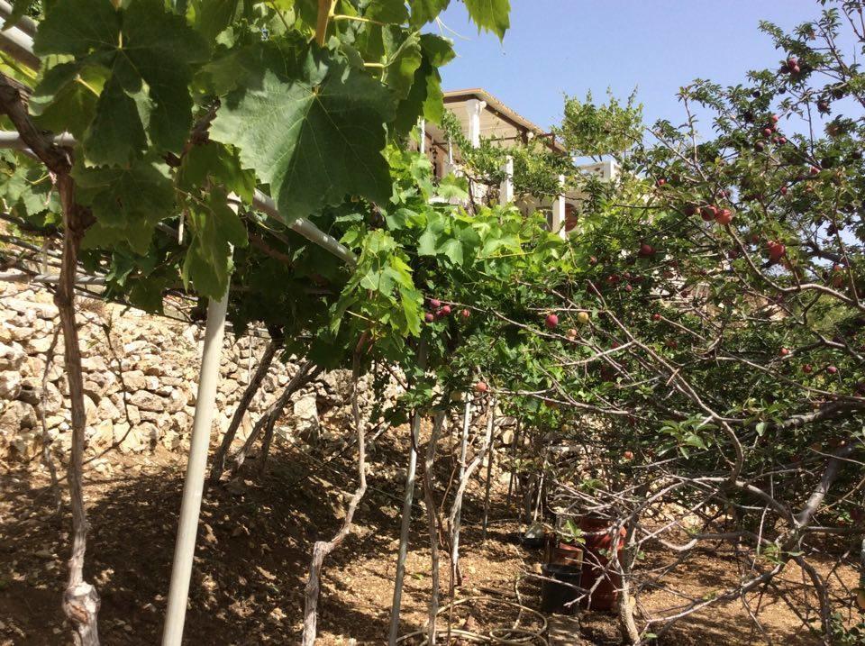 La Villa Di Zazopetra Menetaí 外观 照片