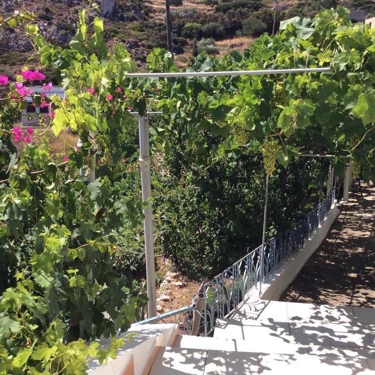 La Villa Di Zazopetra Menetaí 外观 照片