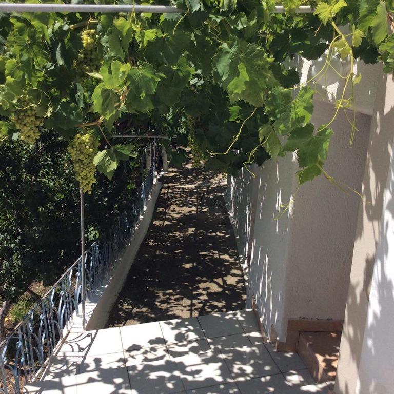 La Villa Di Zazopetra Menetaí 外观 照片