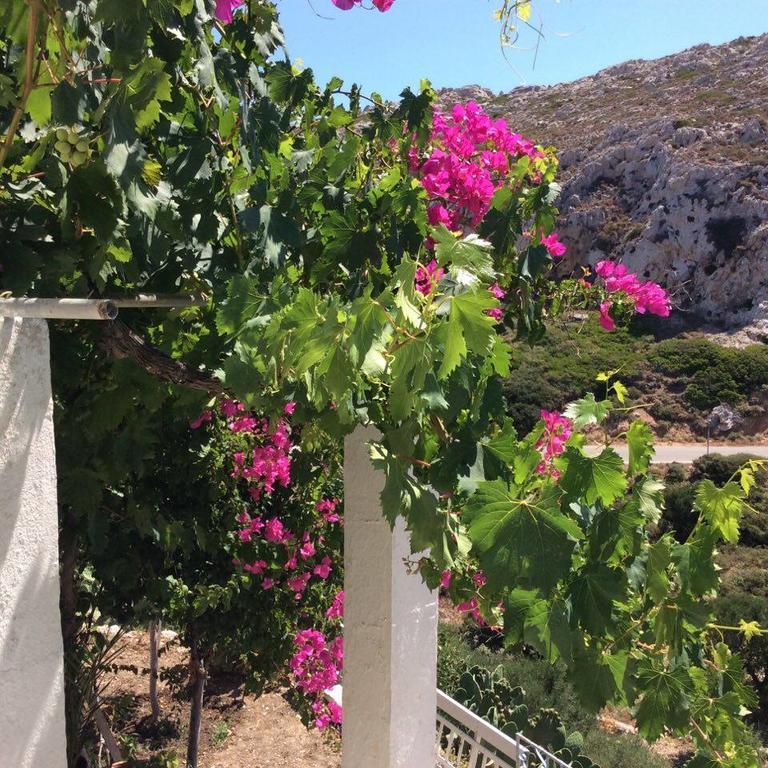 La Villa Di Zazopetra Menetaí 外观 照片