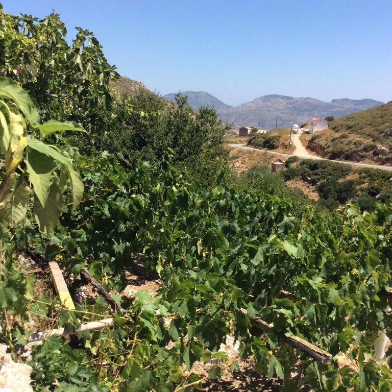 La Villa Di Zazopetra Menetaí 外观 照片